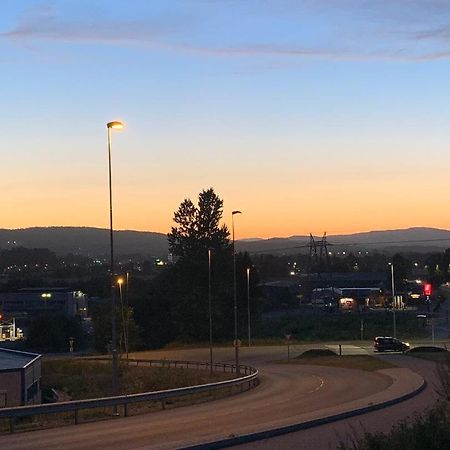 Trivelig Leilighet Gratis Parkering Pa Stedet! Appartement Porsgrunn Buitenkant foto
