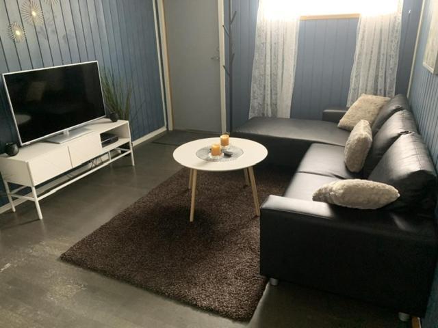 Trivelig Leilighet Gratis Parkering Pa Stedet! Appartement Porsgrunn Buitenkant foto