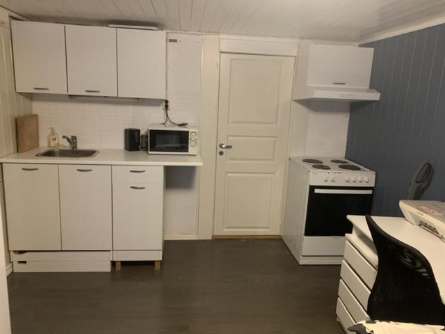 Trivelig Leilighet Gratis Parkering Pa Stedet! Appartement Porsgrunn Buitenkant foto